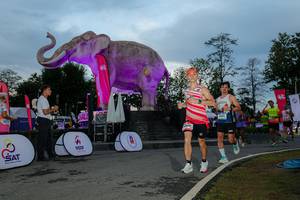 BIB: 
                            <button type="button" onclick="openModal(26529507)" class="btn btn-primary btn-sm float-right btn-popup" data-toggle="modal" data-target=".modal-high-quality">
                        <i class="fas fa-shopping-cart"></i> Add to Cart
                    </button>
                                            <button type="button" onclick="isThisMe(26529507, true)" class="btn btn-success btn-sm float-right btn-popup btn-isme hidden" data-toggle="tooltip" data-placement="bottom" title="นี่คือรูปของคุณใช่ไหม คลิกที่นี่เพื่อเอาเข้าอัลบั้ม">
                        <i class="fas fa-plus"></i> Add to album
                    </button>
                    <button type="button" onclick="isThisMe(26529507, false)" class="btn btn-warning btn-sm float-right btn-popup btn-isnotme hidden">
                        <i class="fas fa-ban"></i> Remove from album
                    </button>